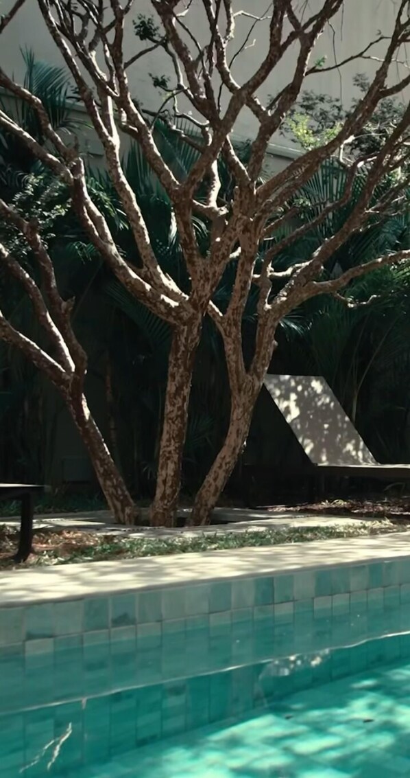 Hồ bơi ngoài trời, dù/ô trên bãi biển/hồ bơi, ghế dài tắm nắng 