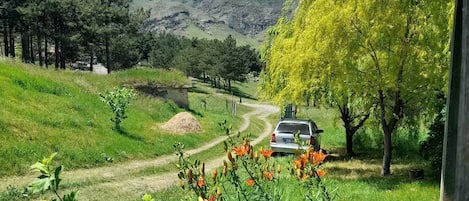 Fachada da propriedade