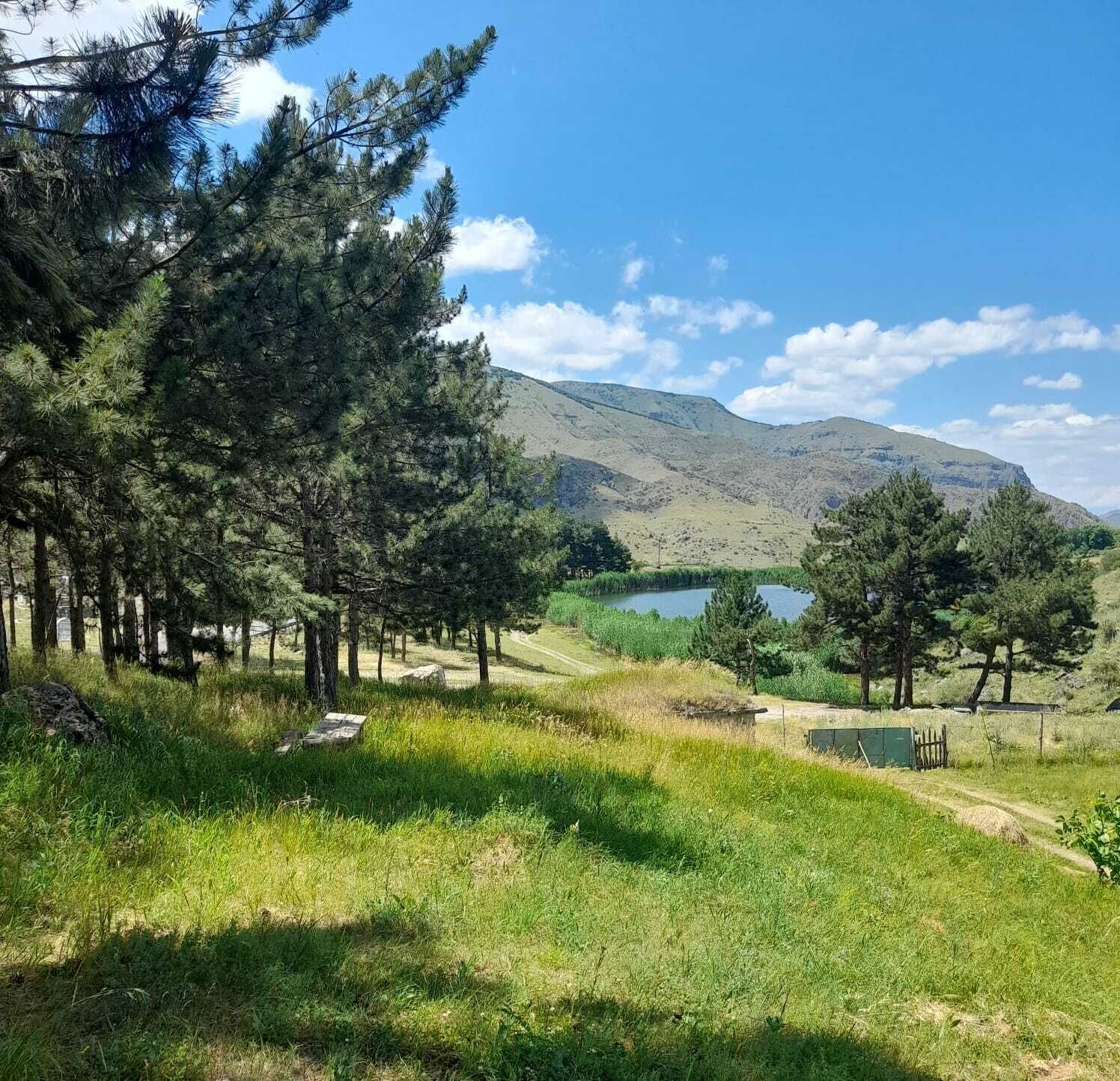 Un paysage naturel comprenant un lac, des arbres et une chaîne de collines en arrière-plan.