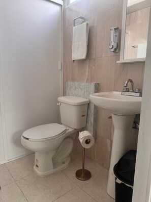 Hair dryer, towels, soap, shampoo