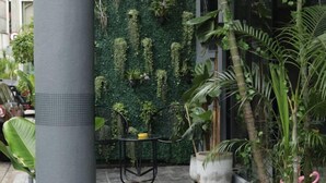 A modern outdoor seating area with a green wall and various plants. - Wire Bangkok Prakhanong (Bangkok)
