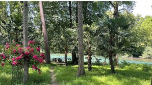 A lush garden with tall trees and a clear view of a river.