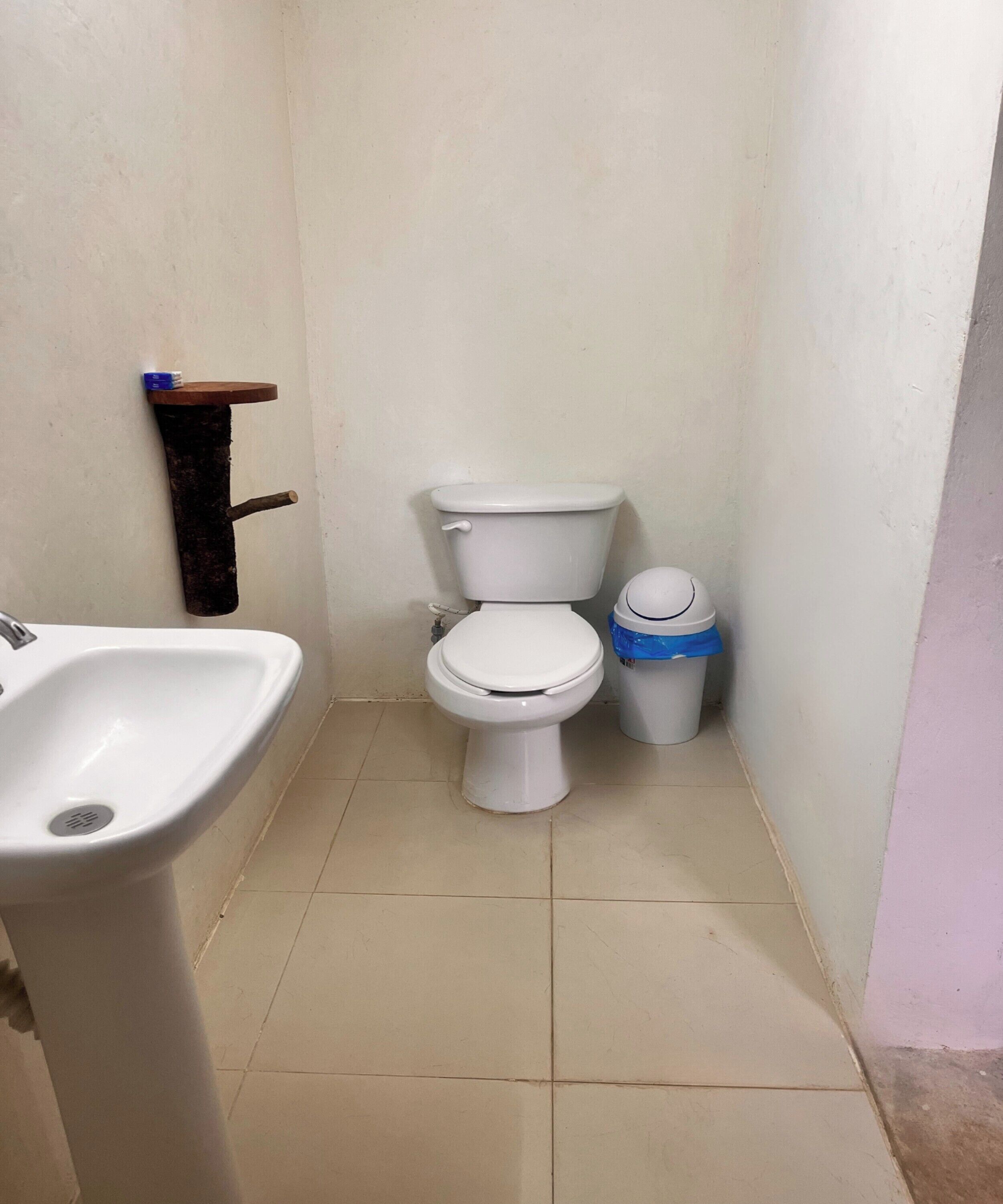 A small bathroom with a toilet, a sink, and a trash bin.