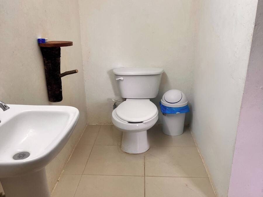 A small bathroom with a toilet, a sink, and a trash bin.