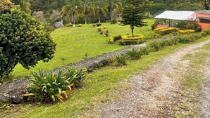 Un paisaje exuberante y verde con un sendero de grava que conduce a un edificio con techo rojo.