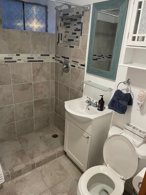 Shower, hair dryer, towels, soap - private 3 bedroom garden apartment in Lincoln square Chicago (Chicago)