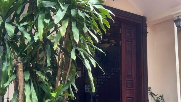 A doorway with a large plant on the left and a potted plant on the right. - HOANG HA VILLA (Bac Ninh)