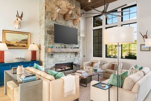 Télévision, cheminée, espaces bureaux