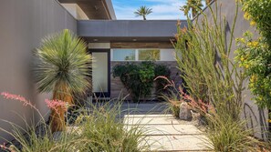 A modern house with a patio, surrounded by various plants and a palm tree.