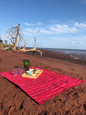 مناشف للشاطئ