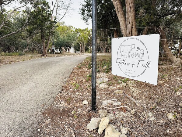 Àrea exterior de l'allotjament