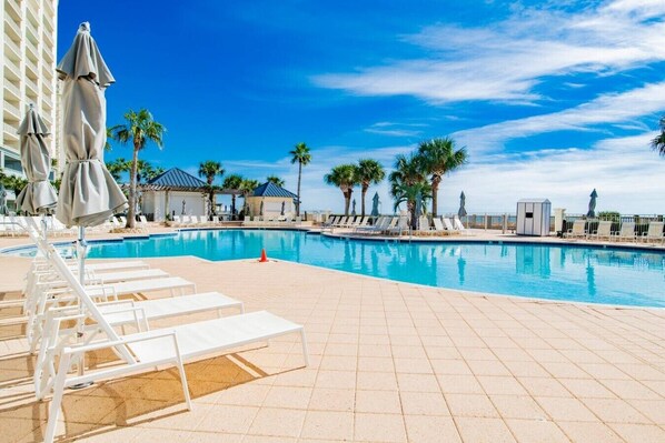 Un espace piscine avec des chaises longues et des parasols, des palmiers et un ciel dégagé.