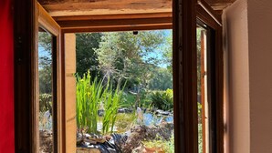 Vista a través de una ventana con marco de madera, que da a un jardín con plantas diversas y un estanque.
