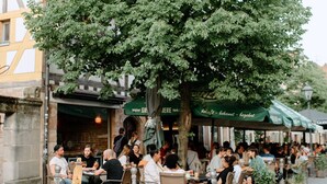 Un caffè all'aperto con tavoli e sedie all'ombra di un grande albero, circondato da edifici dall'architettura tradizionale.