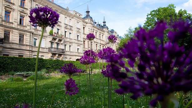 Un edificio storico con architettura classica, circondato da un giardino curato con fiori viola.