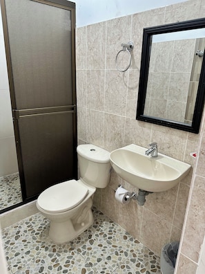 Shower, towels, toilet paper