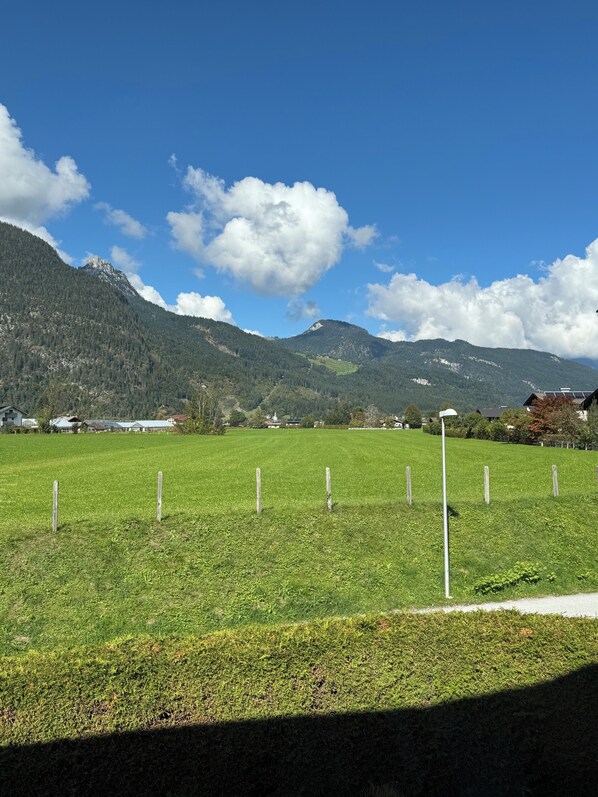 Àrea exterior de l'allotjament