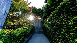 A narrow concrete pathway flanked by dense green foliage and a wooden fence, leading to a building entrance.
