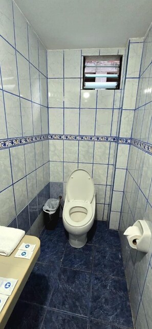 Chuveiro/banheira combinados, toalhas de banho, sabonete, shampoo