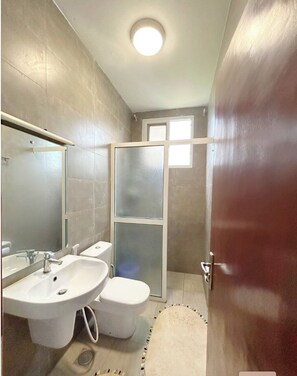 Bidet, towels, soap, toilet paper