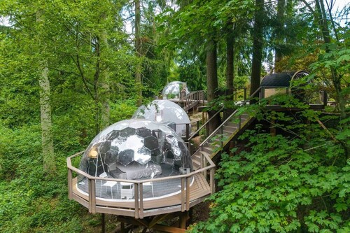 Mirror Dome · Reflective Luxury Glamping w/ Hot Tub & Sauna in Forest Retreat