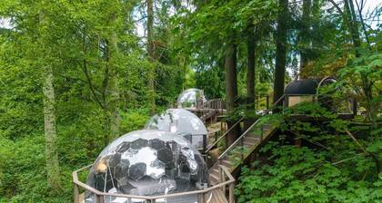 Mirror Dome · Reflective Luxury Glamping w/ Hot Tub & Sauna in Forest Retreat