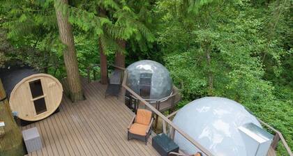 Mirror Dome · Reflective Luxury Glamping w/ Hot Tub & Sauna in Forest Retreat