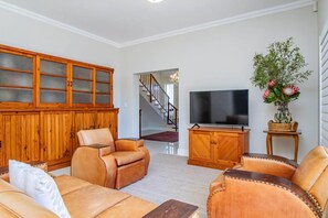 TV connectée, cheminée, chaîne hi-fi