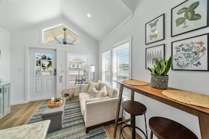 Smart TV, fireplace, books