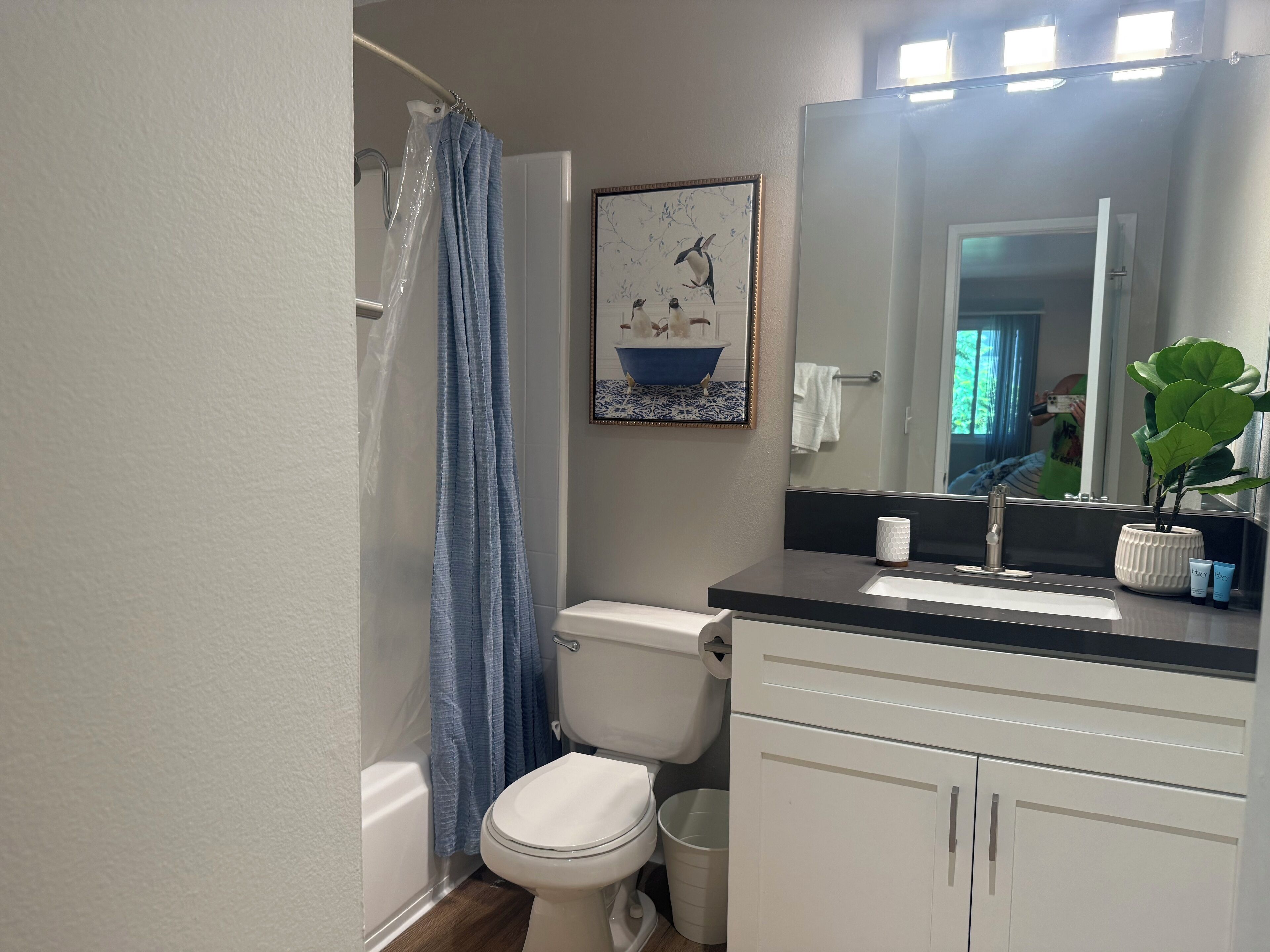 吹风机、毛巾、卫生纸