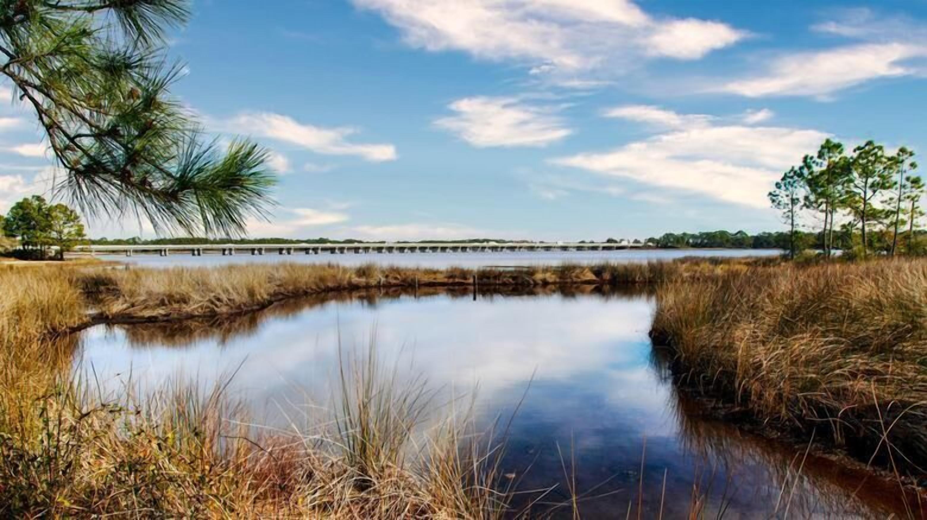 A calm water body with a bridge in the background, surrounded by grassy areas and trees.