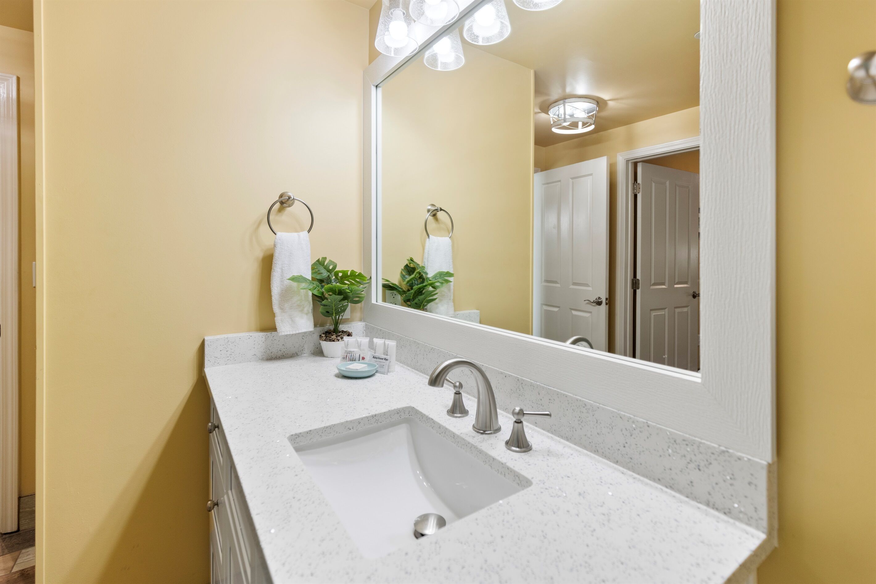A bathroom with a white sink, a large mirror, and a potted plant on the countertop.