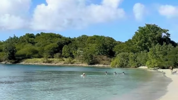 A beach with clear water, a sandy shore, and dense greenery in the background.