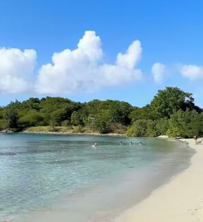 A beach with clear water, a sandy shore, and dense greenery in the background.