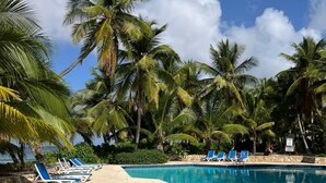A pool area with blue lounge chairs and palm trees.