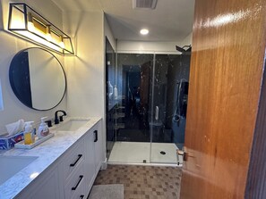 Shower, hair dryer, bidet, towels