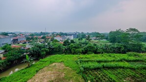 Een landelijk landschap met een rivier, groene velden en verspreide gebouwen.