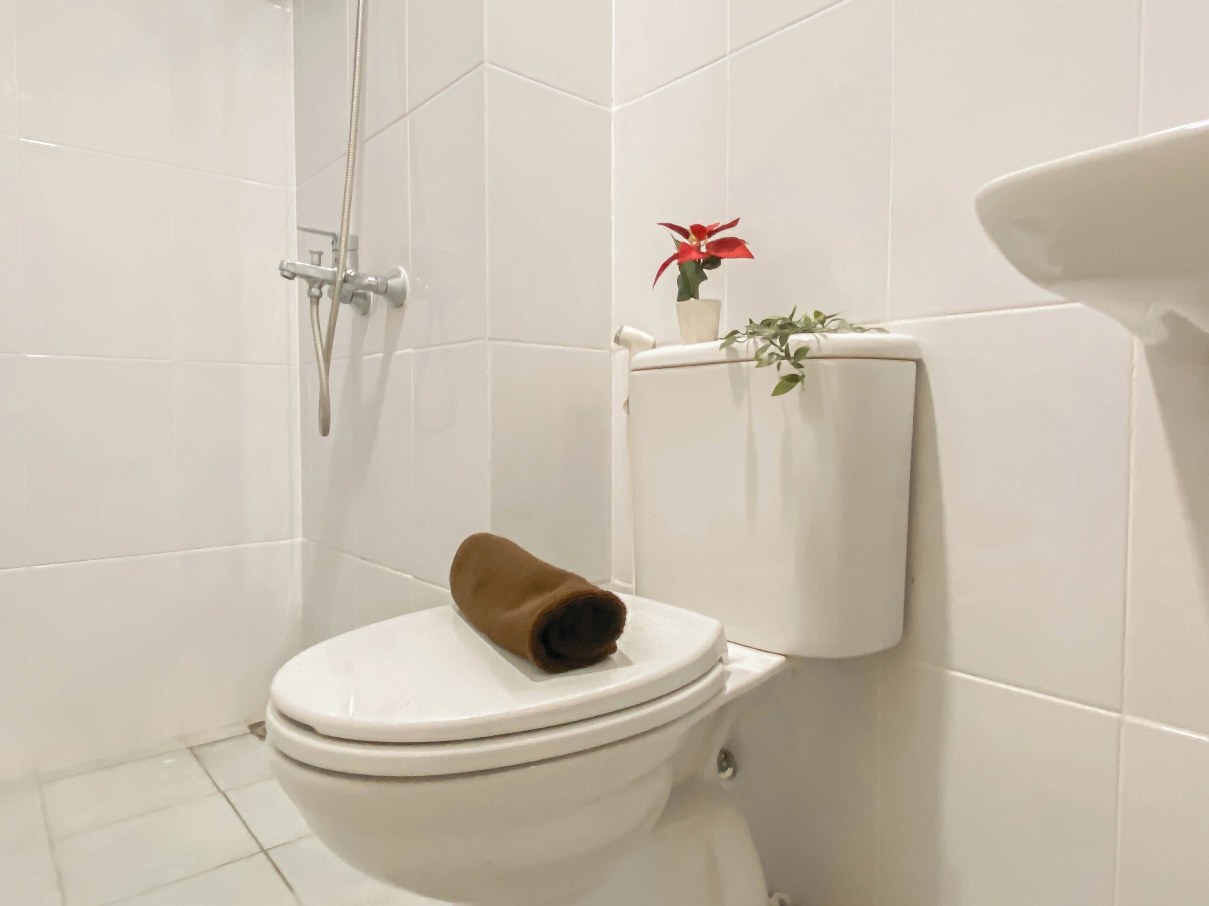 Un baño con inodoro blanco, ducha y lavamanos.