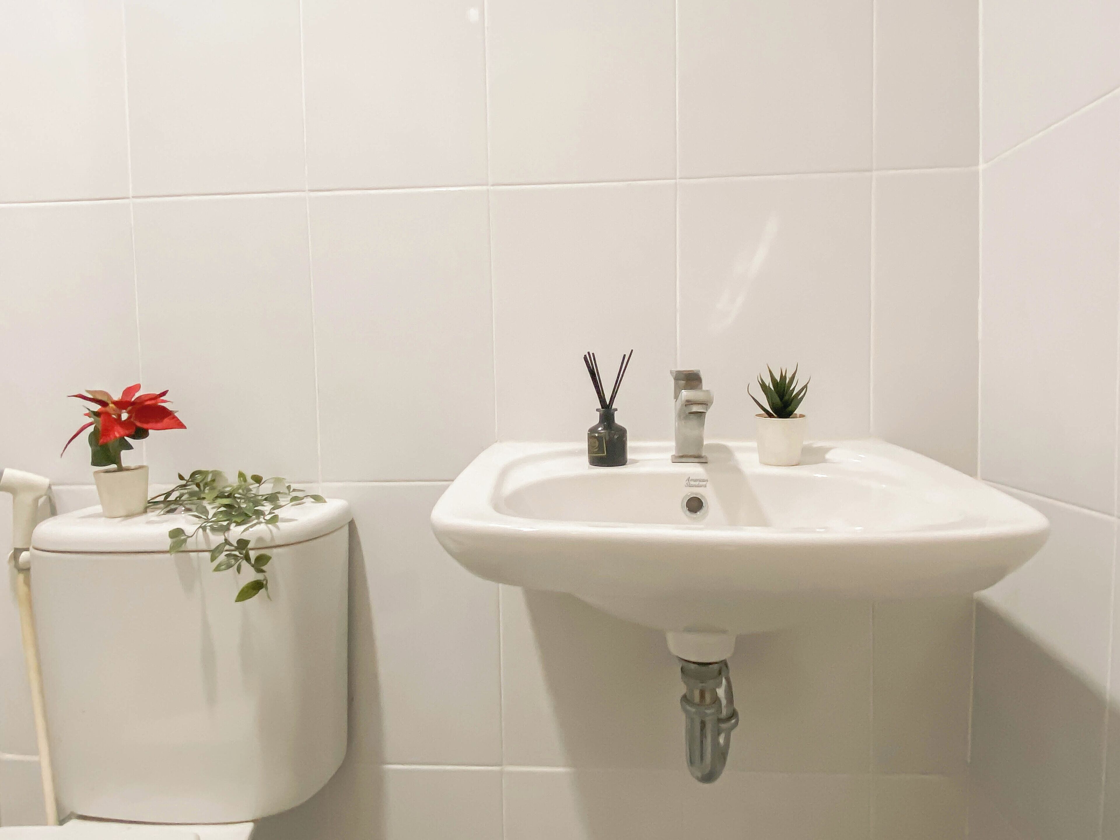 A bathroom with a white sink, toilet, and a potted plant on the toilet.