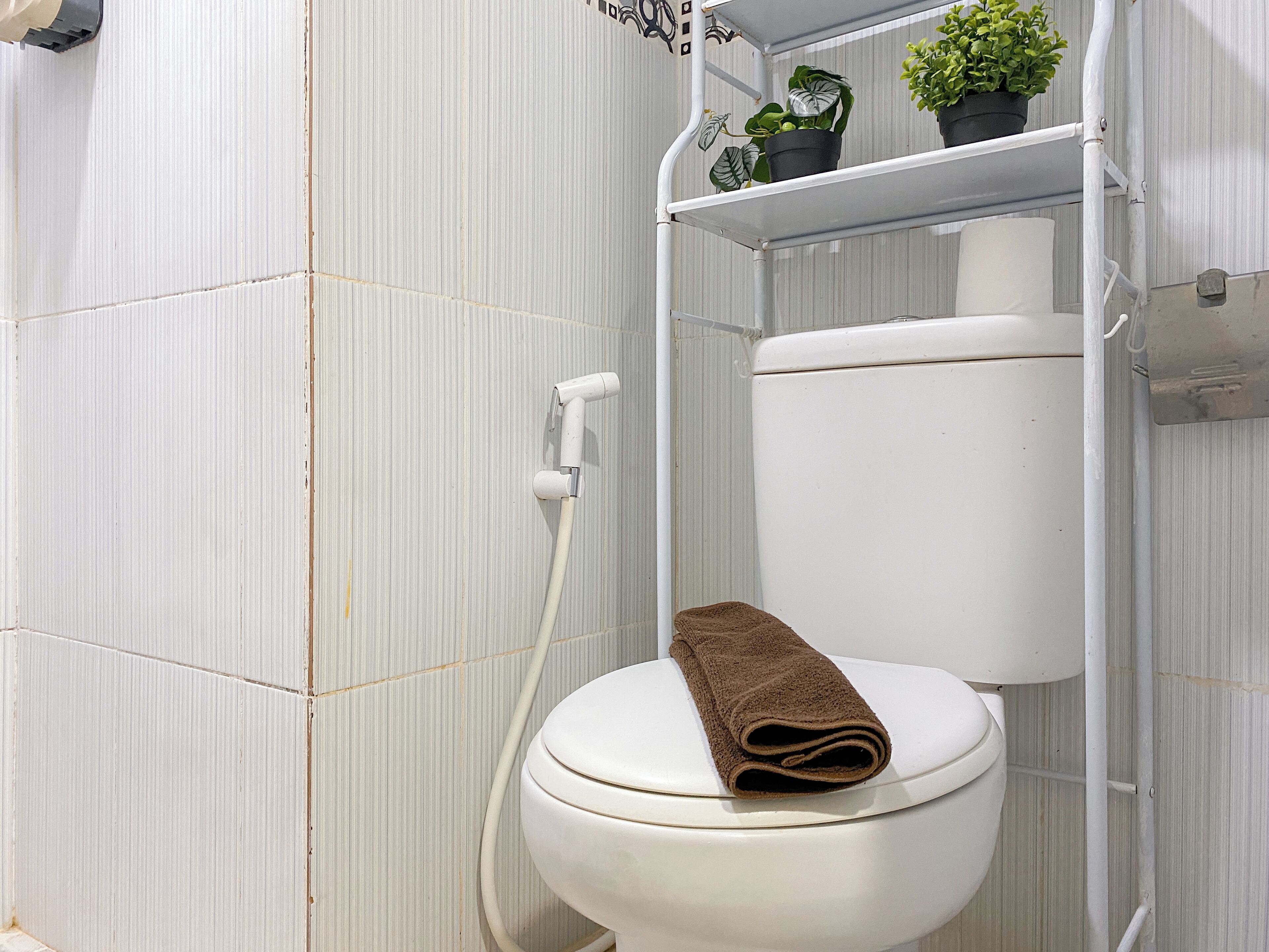 Casa de banho com sanita, toalha e prateleira com plantas.