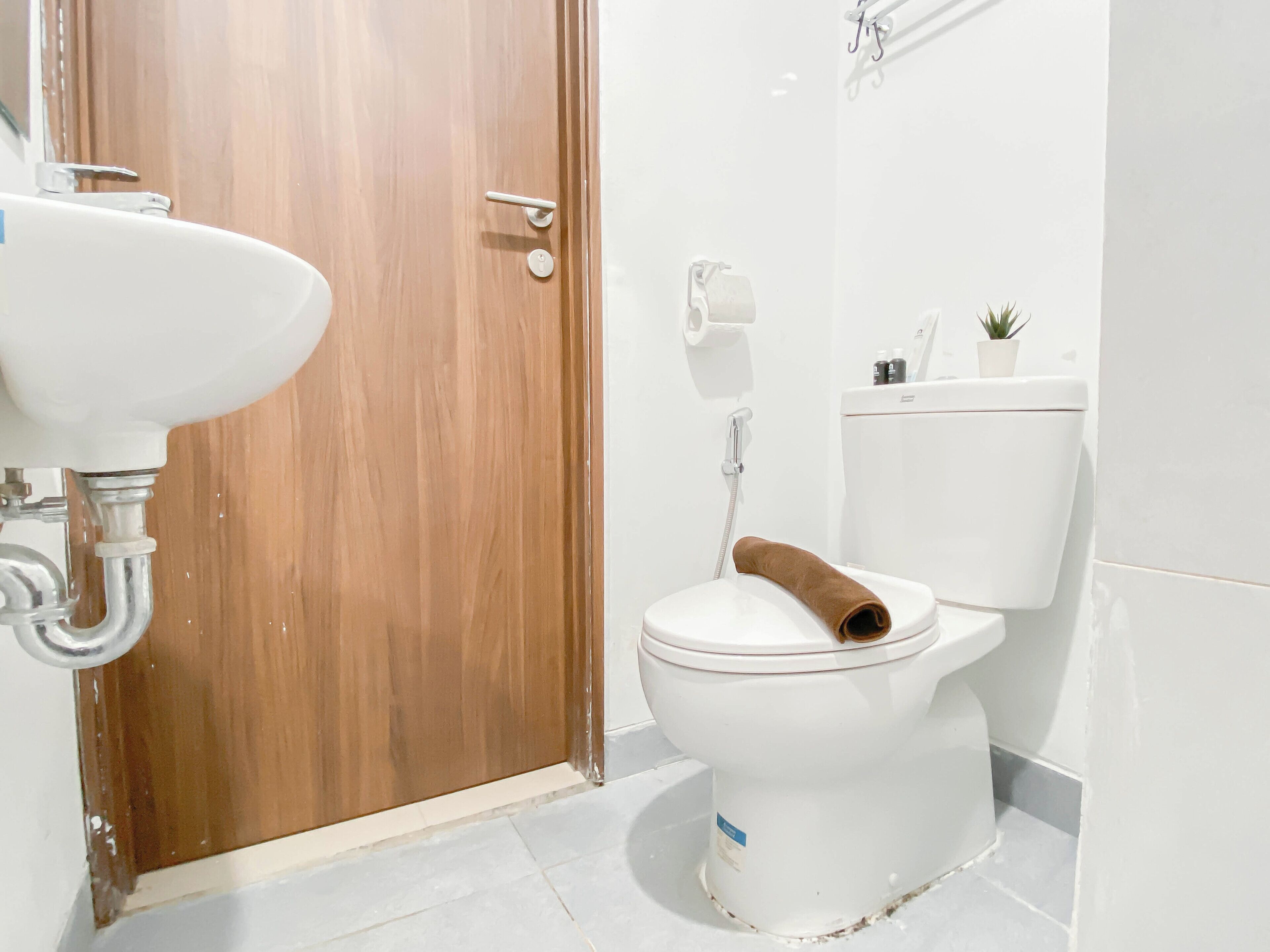 A bathroom with a wooden door, white sink, toilet, and a small potted plant on the wall.