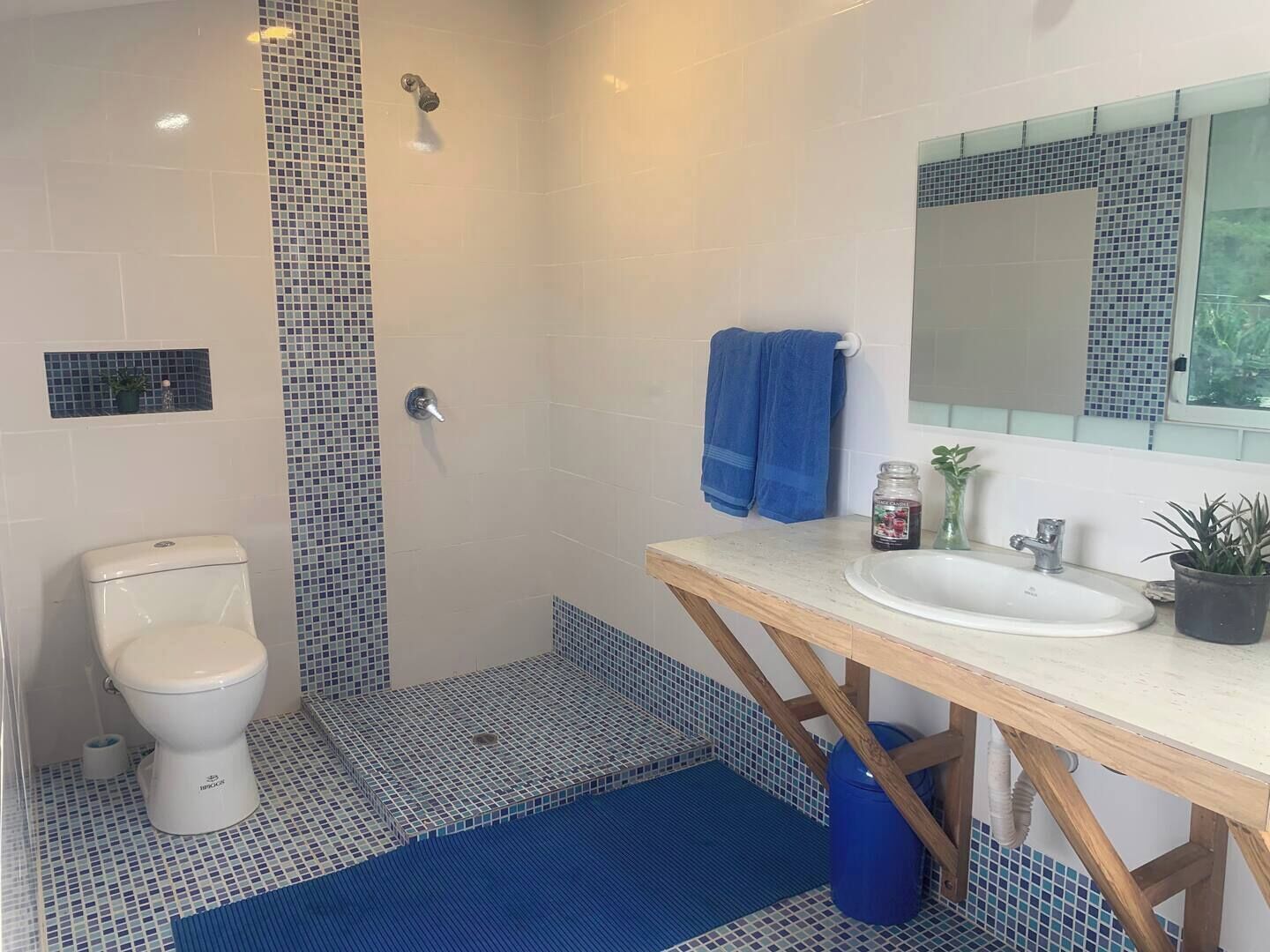Shower, towels, soap, toilet paper
