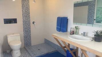 Shower, towels, soap, toilet paper