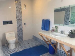 Ducha, toallas, jabón y papel higiénico
