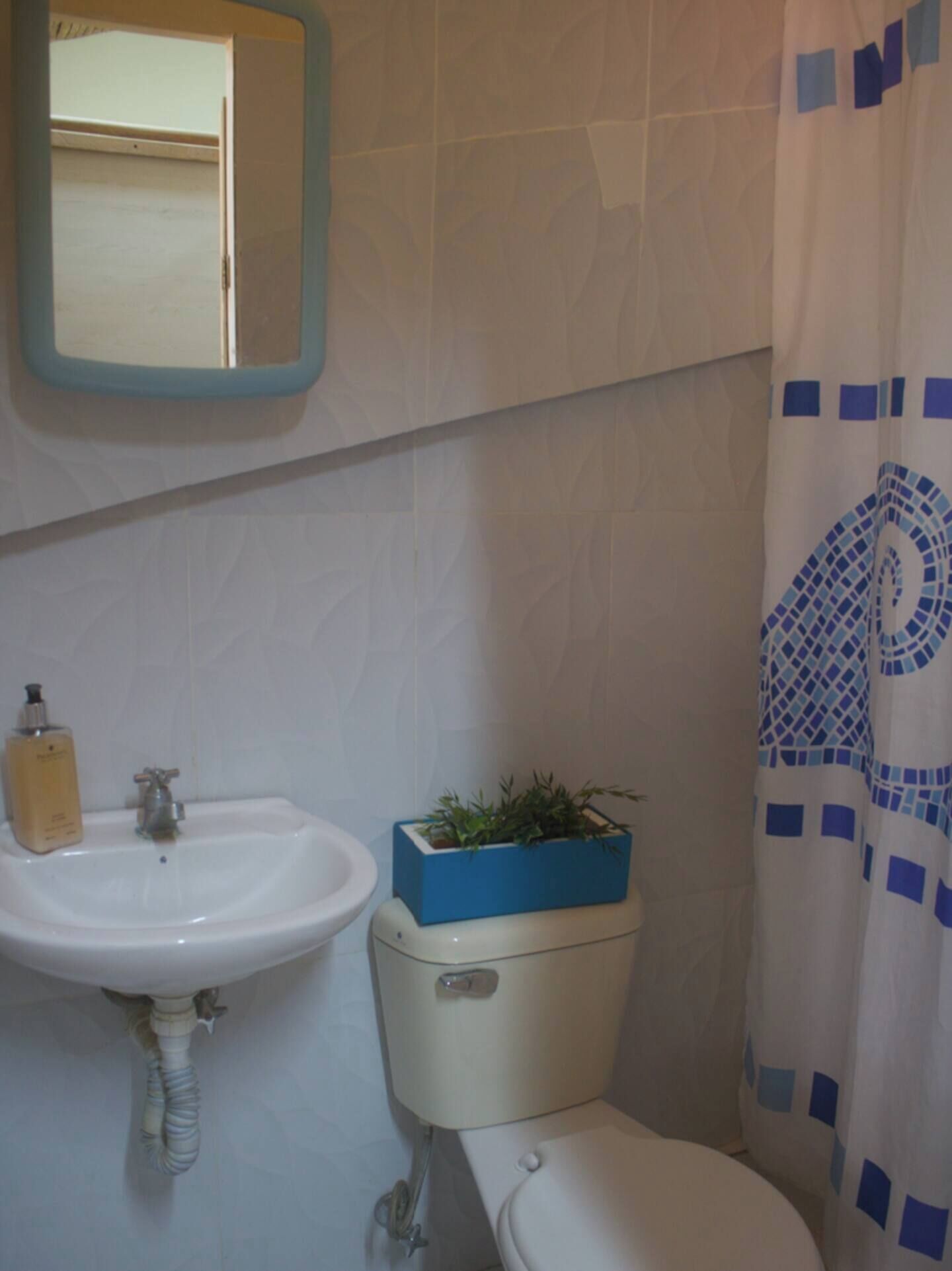 Ein Badezimmer mit einem weißen Waschbecken, einem blauen Pflanzgefäß mit Grünpflanzen, einer Toilette und einem Duschvorhang in Blau und Weiß.