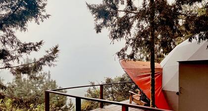 Charming Lulu dome in the mountains of Floridablanca, Santander, Colombia!