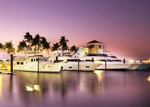 A marina with several yachts docked, palm trees, and a building with arched windows.