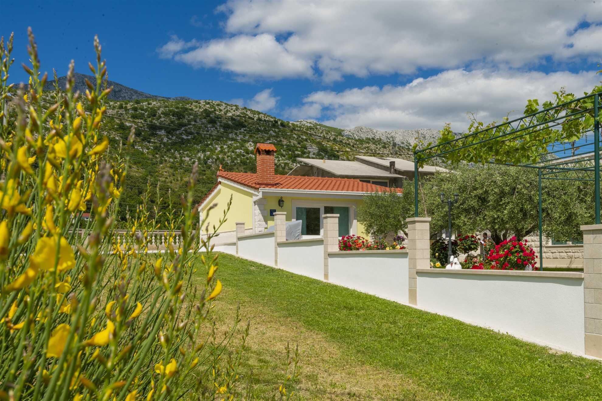 المنطقة المحيطة بالمنشأة