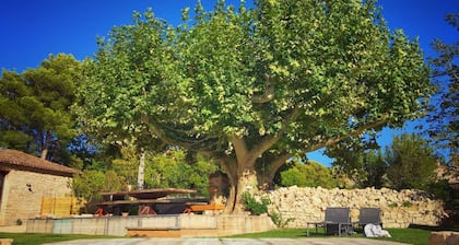 Grand Mas Familial à proximité de l'L'Isle-sur-la-Sorgue