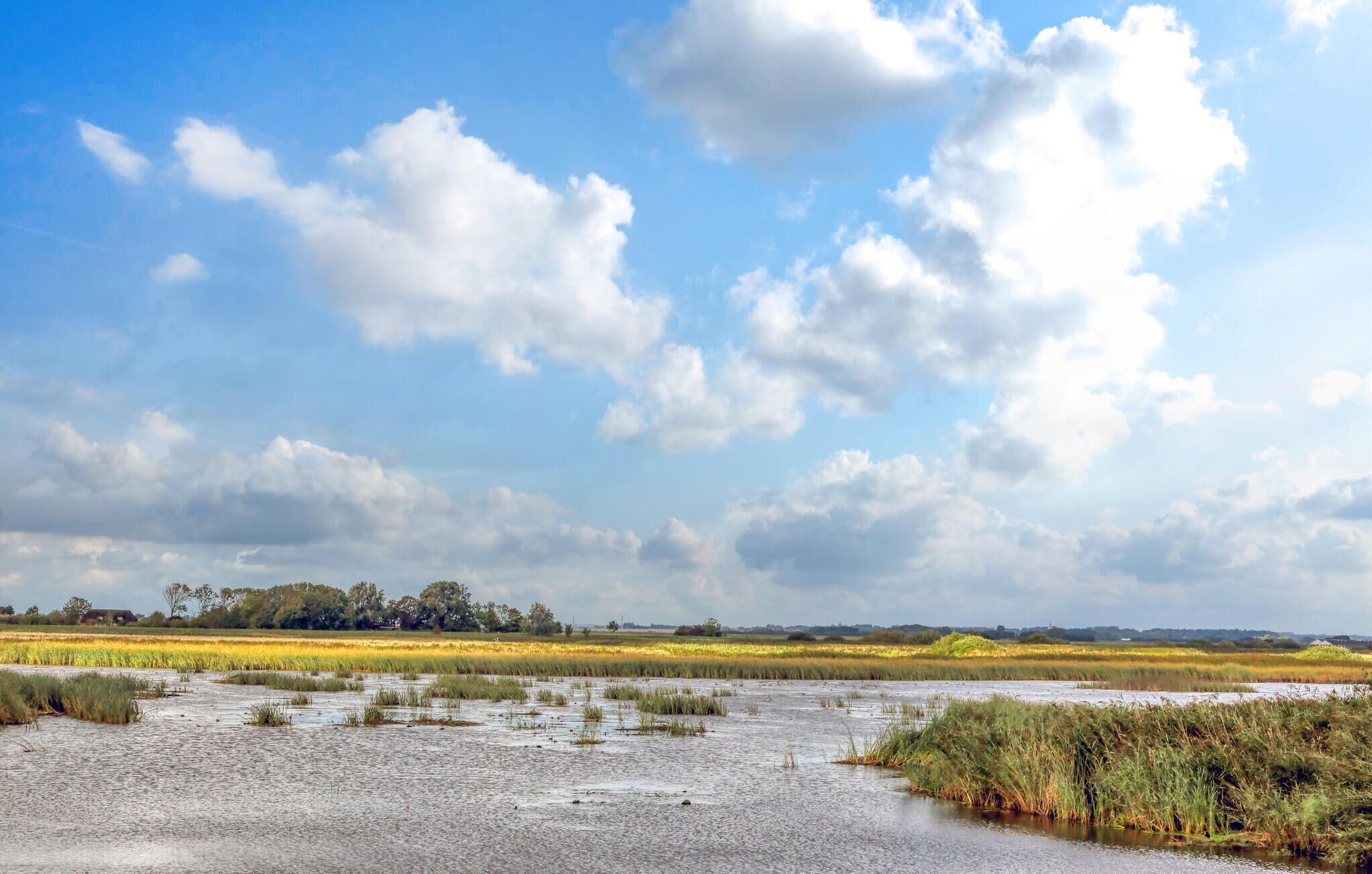 A flat landscape with water and vegetation under a partly cloudy sky.